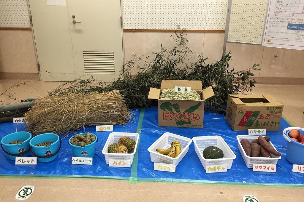 ふじ子の食べている1日分のエサも展示します！