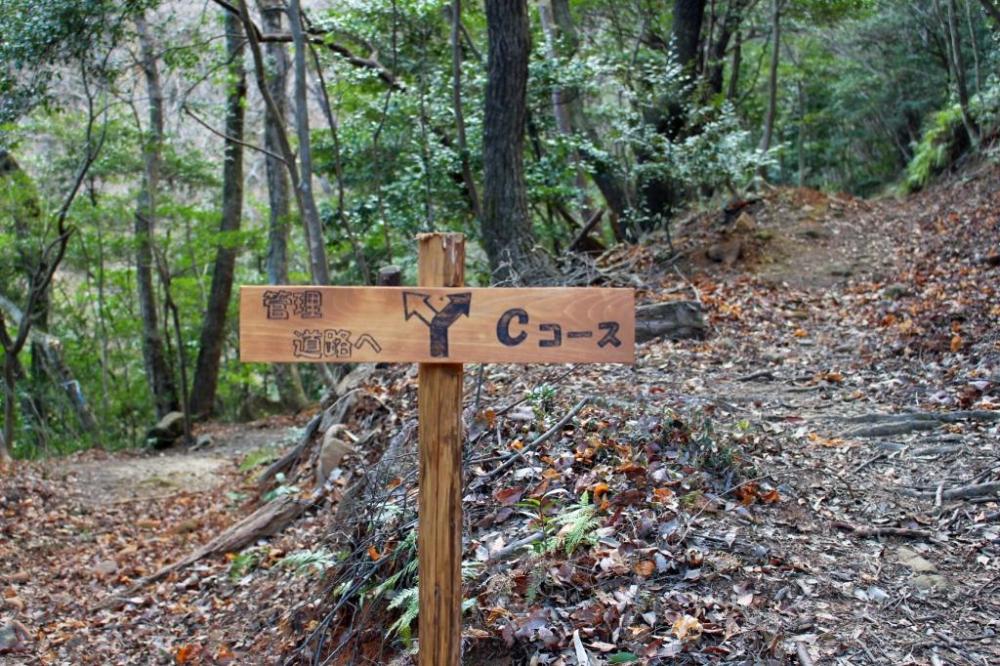 管理道に出て少し歩けばすぐ管理棟に着けます