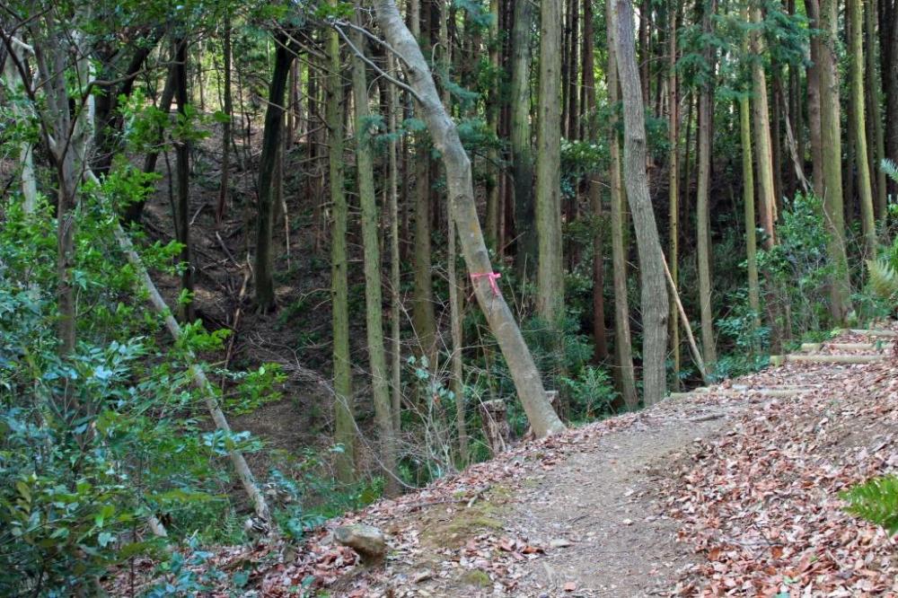 谷間に植えられた木々を横目に歩く