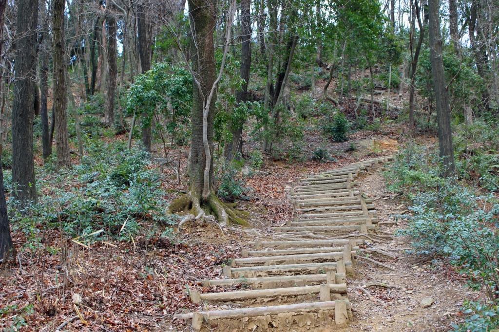 割と急な階段ですが、頑張って登ろう！