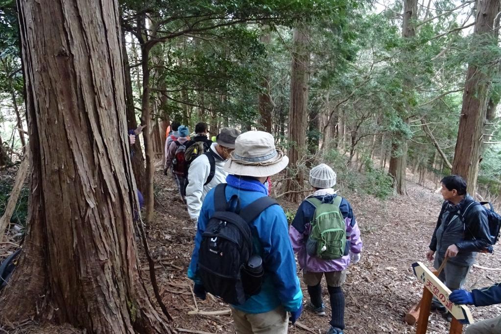 登山道の様子