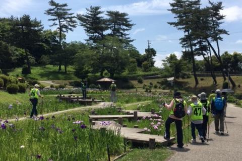 H29.6.9　東公園の菖蒲を見に行きました！