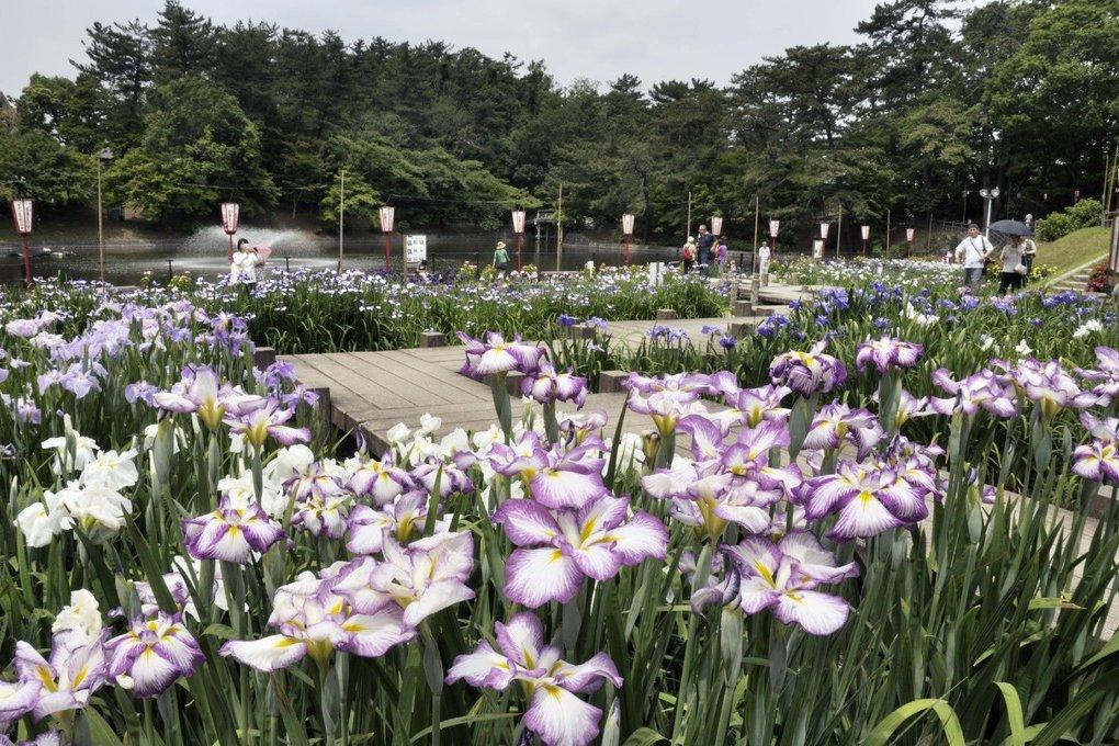 6月の自然満喫おでかけコース