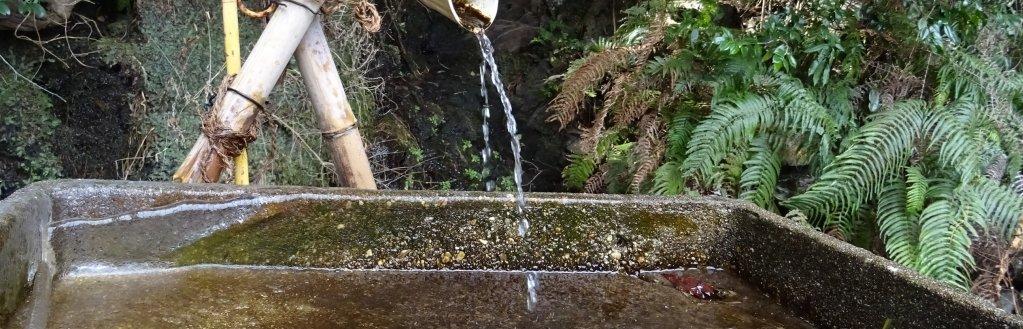 ホタルが住むきれいな水！平成の名水百選巡り