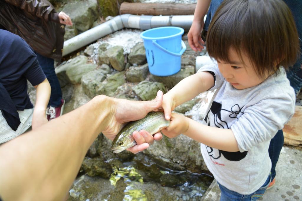 くらがり渓谷 マス釣り・マスつかみ