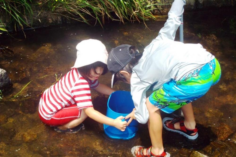 待ってる間に川の生き物探し！