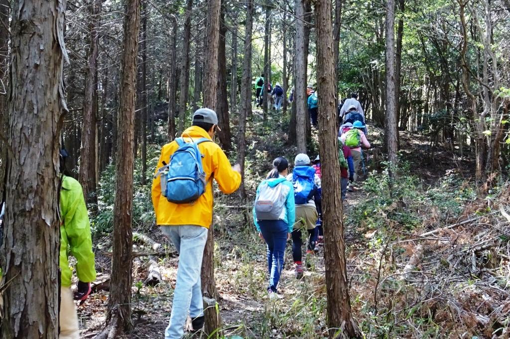 山の日は里山を歩いて森に親しみましょう