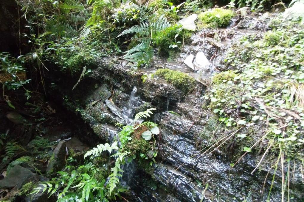 山の日記念「幻の石清水」探訪