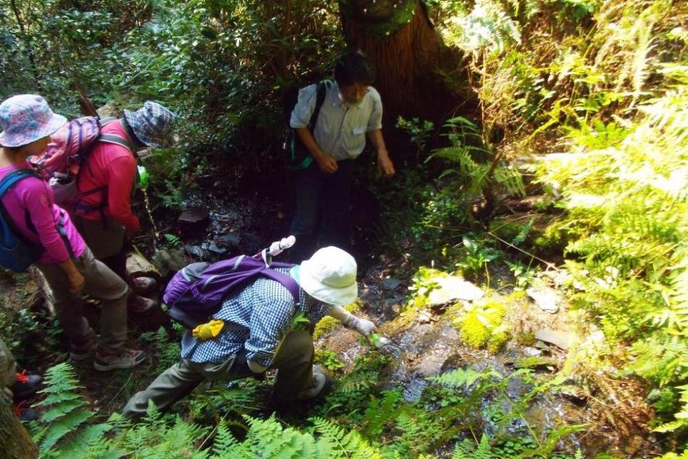 遂に到着！尾根付近なのに水が湧き出る不思議なスポット