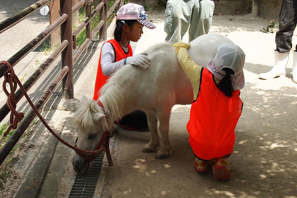 親子で飼育体験【東公園動物園】