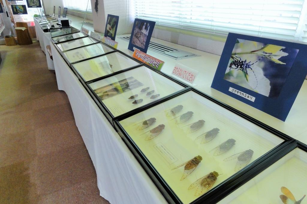 おかざき大昆虫展（森の総合駅）