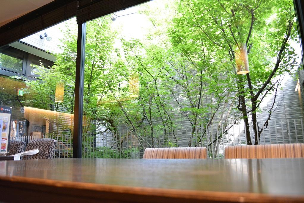モミジの見える中庭もあります。