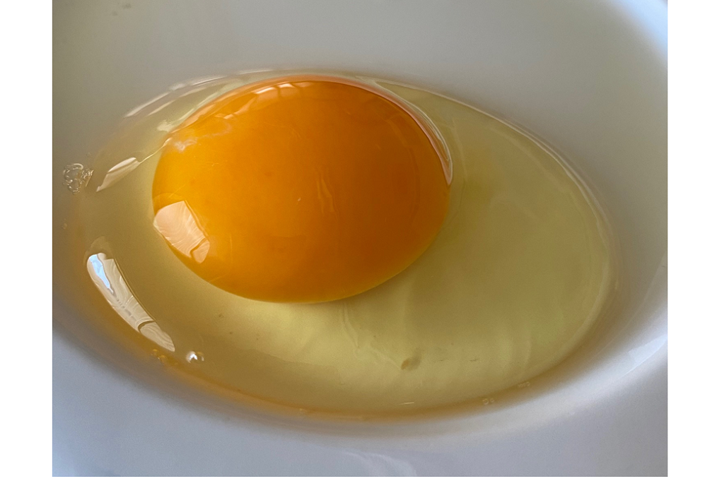 岡崎おうはんの卵は、黄身が大きいことが特長です