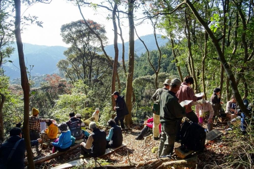 登山道には休憩用のベンチもあります