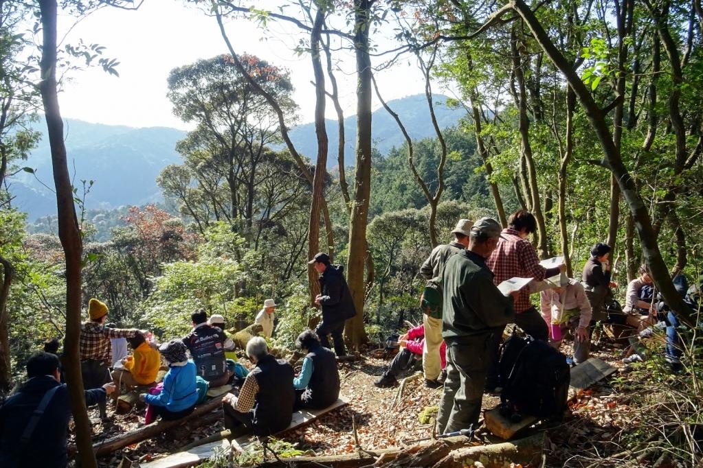 登山道には休憩用のベンチもあります