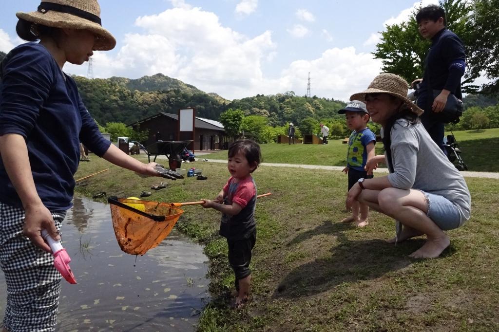 生き物探しにもチャレンジ！