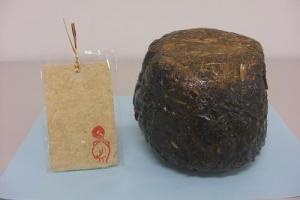 受験生応援「ウンがつくしおり」プレゼントキャンペーン