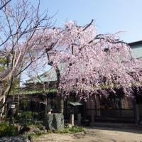 江戸の貸屋敷「しょうやの杜」