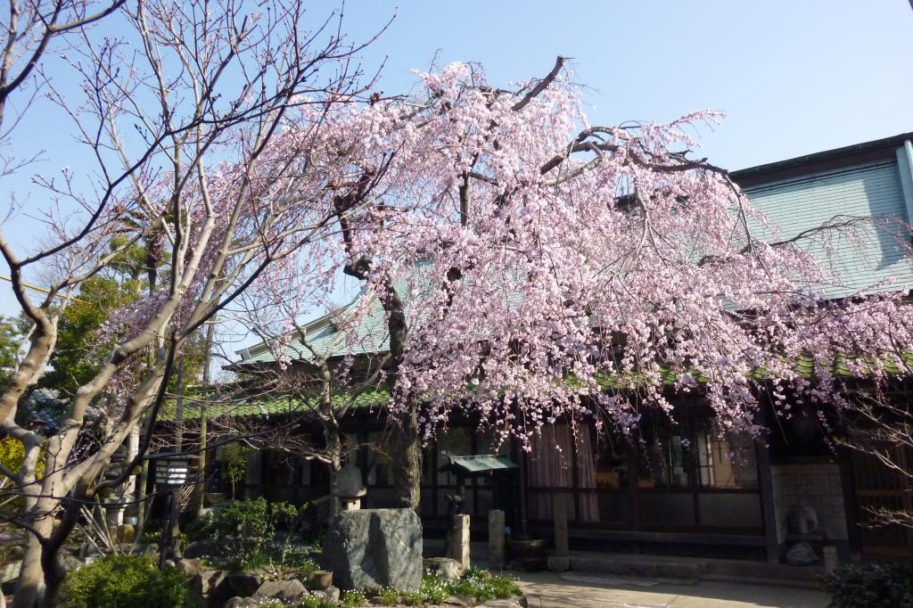 江戸の貸屋敷「しょうやの杜」