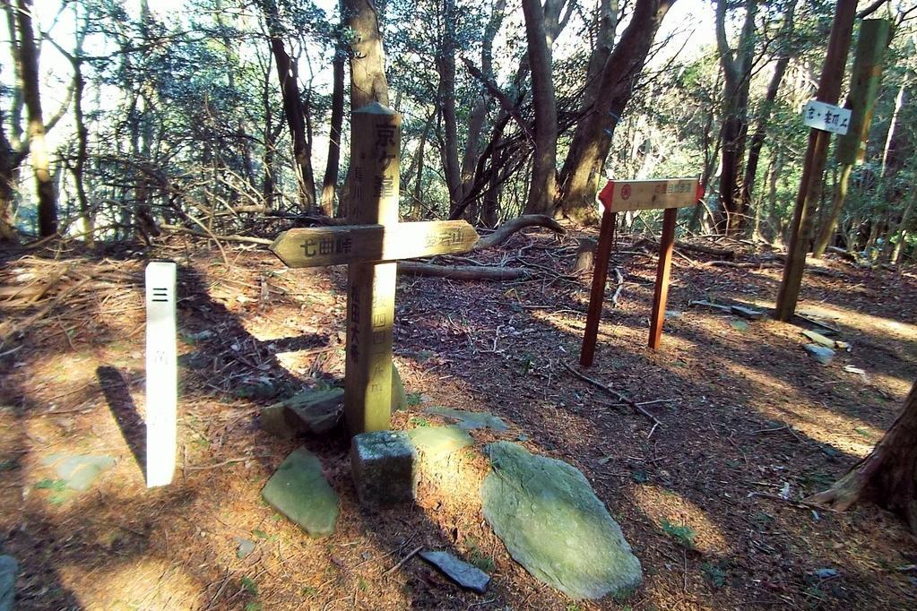 京ヶ峯山頂です。三角点があります。