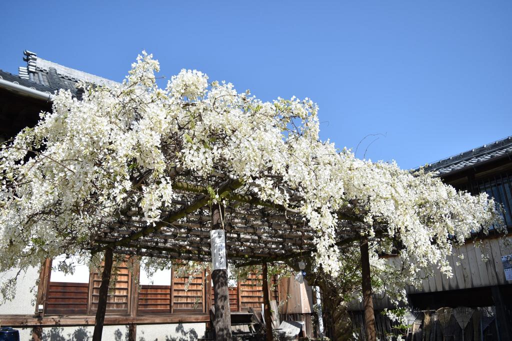 松應寺