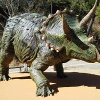 岡崎の観光スポット 岡崎おでかけナビ 岡崎市観光協会公式サイト