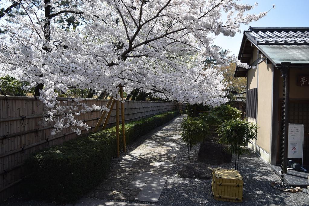 茶室　葵松庵・城南亭