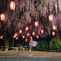 徳王神社藤まつり