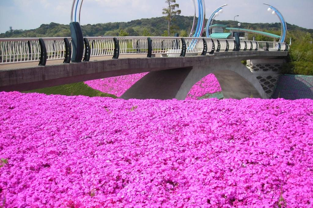 岡崎中央総合公園