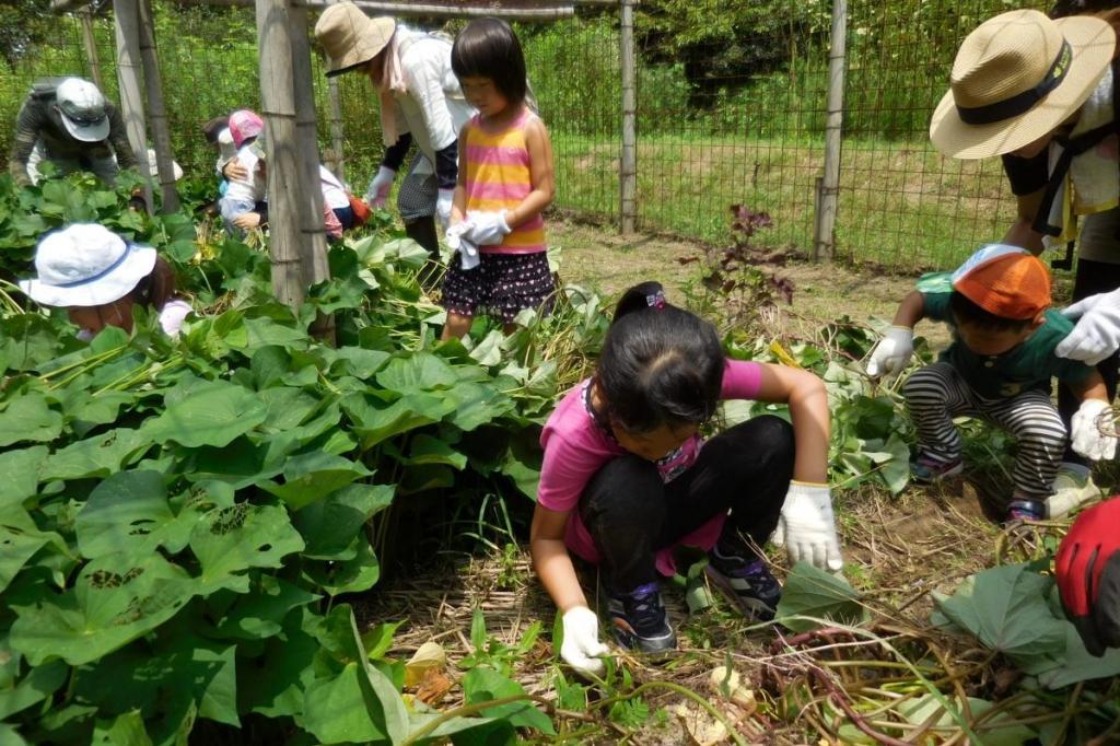 写真は夏の除草作業の様子