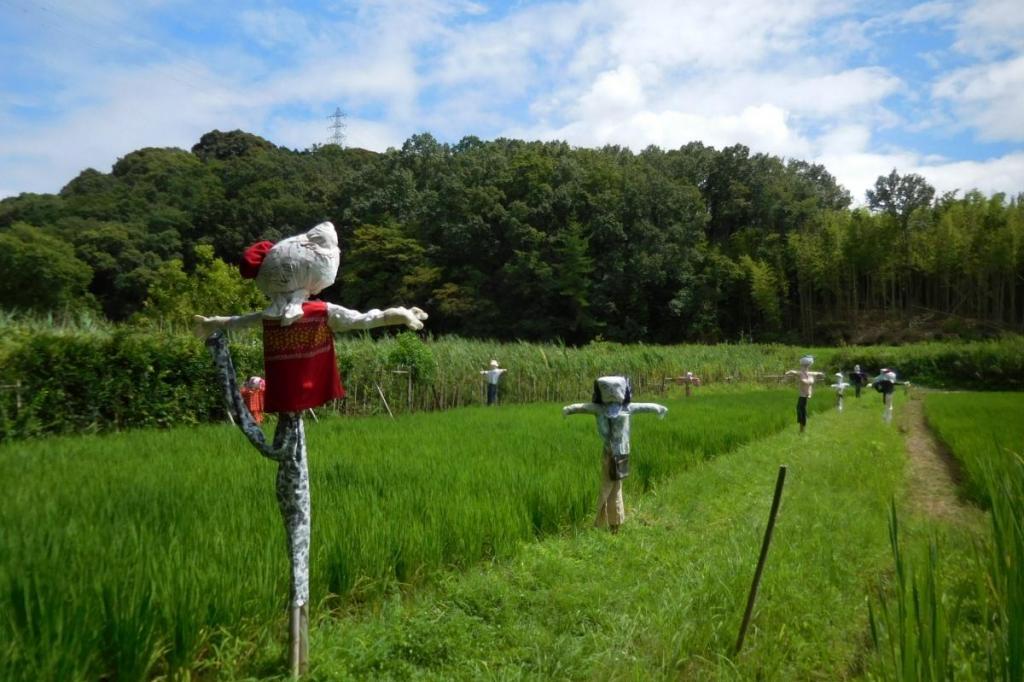 収穫目指して頑張るぞー！