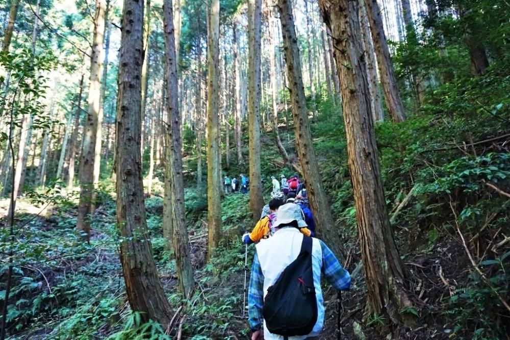 歩きやすい鳥川ホタルの里の登山ルート