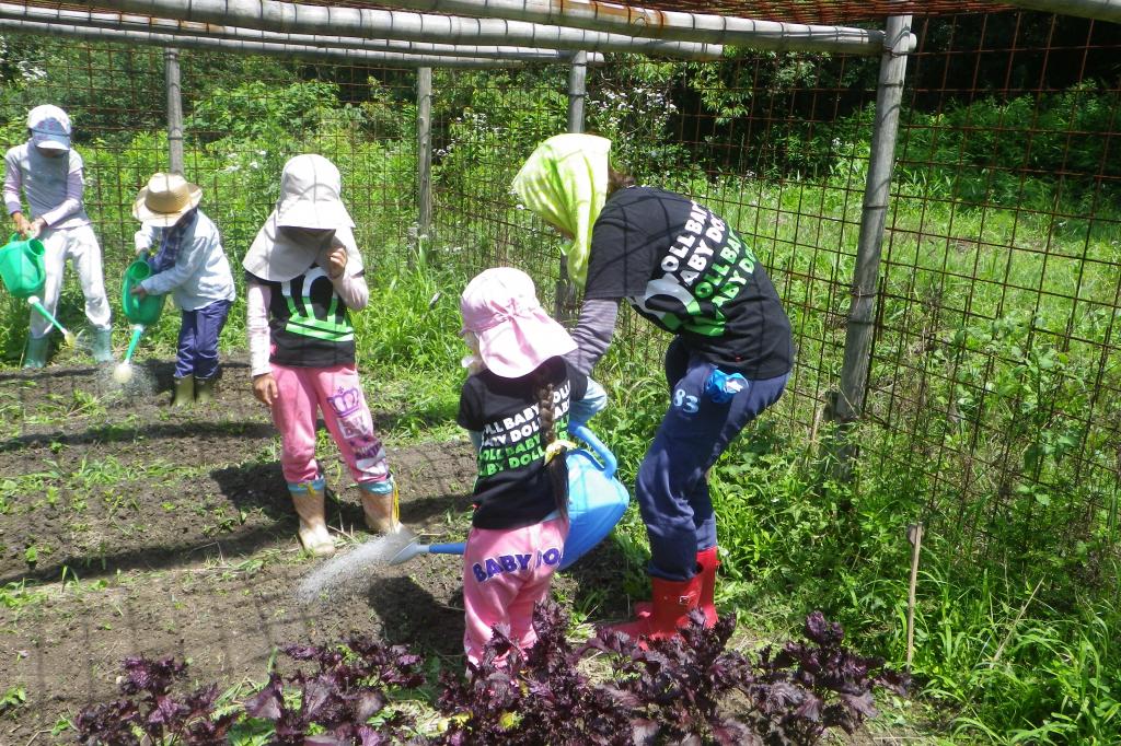 こんにゃく芋の収穫・落花生の殻むき／森の畑倶楽部大豆でｅ-ｃｏ