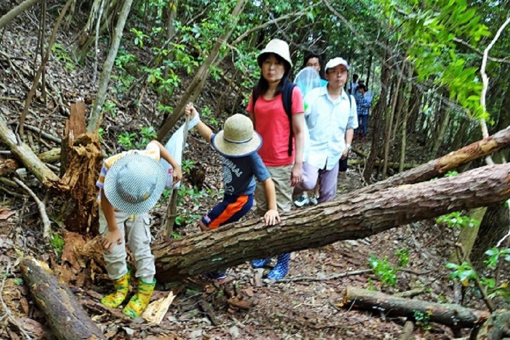 わんParkの裏山には何がある？「ネイチャーツアー」