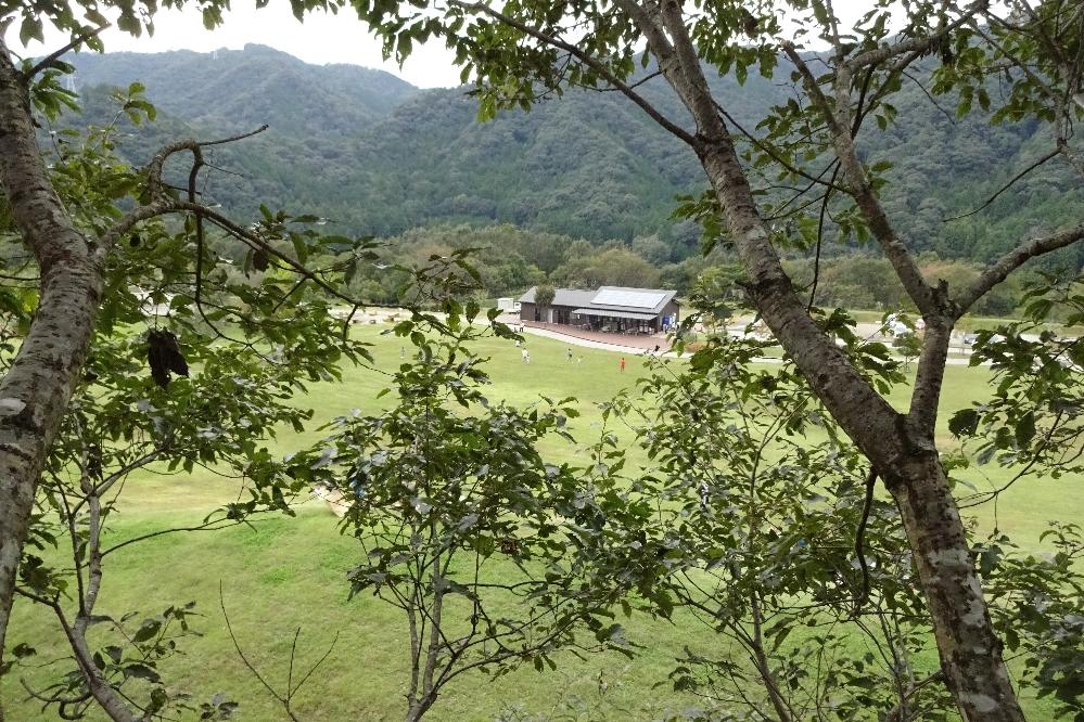 樹上からの景色は最高！