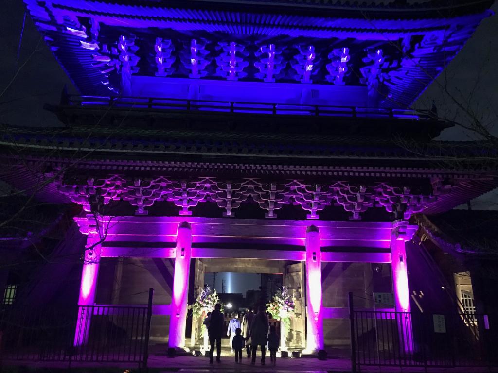 和の光 Art Night 2019× 大樹寺＆光ビスタライン｜イベント｜岡崎