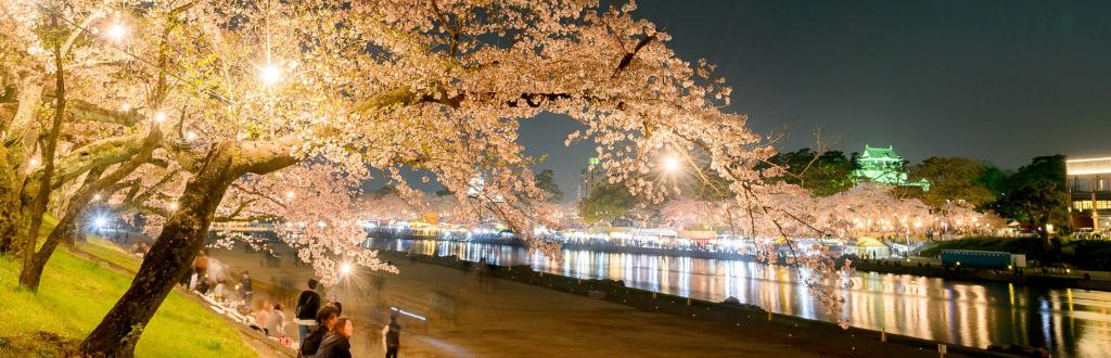 H△G「桜流星群/桜の唄」聖地巡り