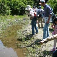 おやこで森あそび～親子自然観察会～