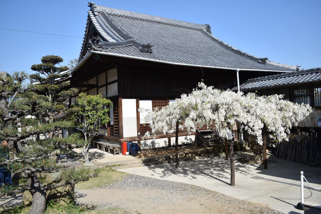 松慶寺