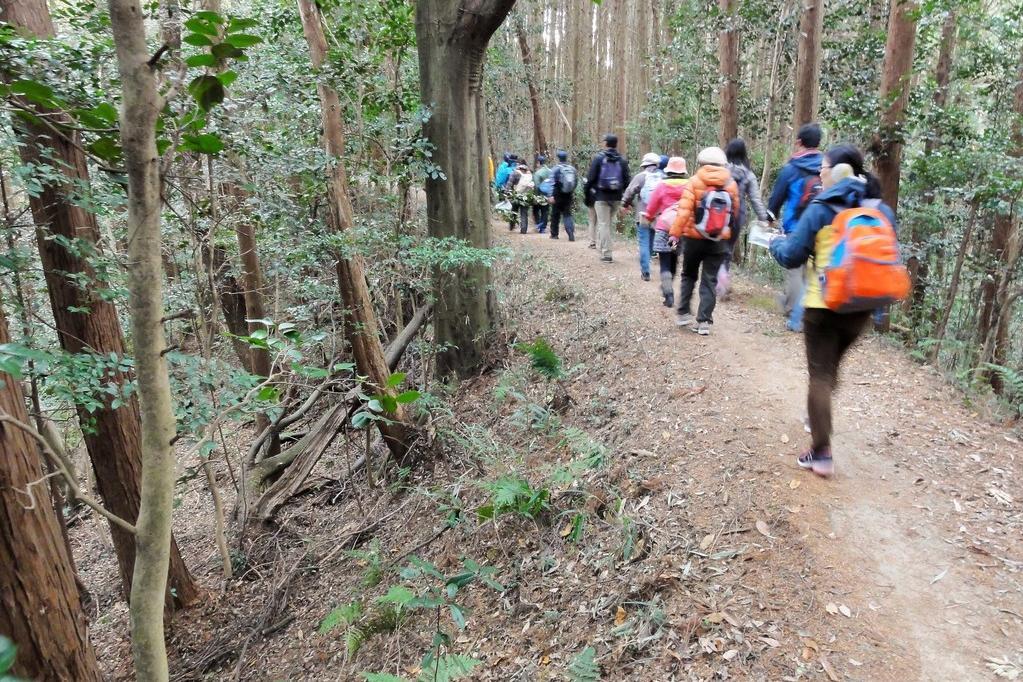 古道「道根往還」を歩いて高隆寺の歴史を知ろう。（岡さんぽ）