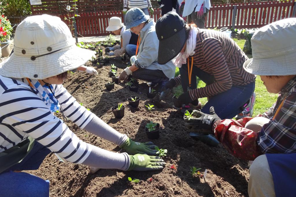 一つ一つ子供の様に丁寧に植えます。無農薬で育てます。