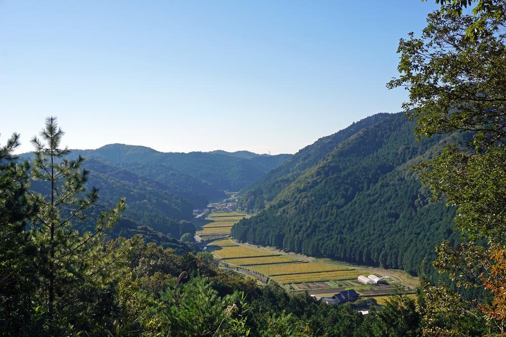 見晴らし場からの鳥川ホタルの里の全景