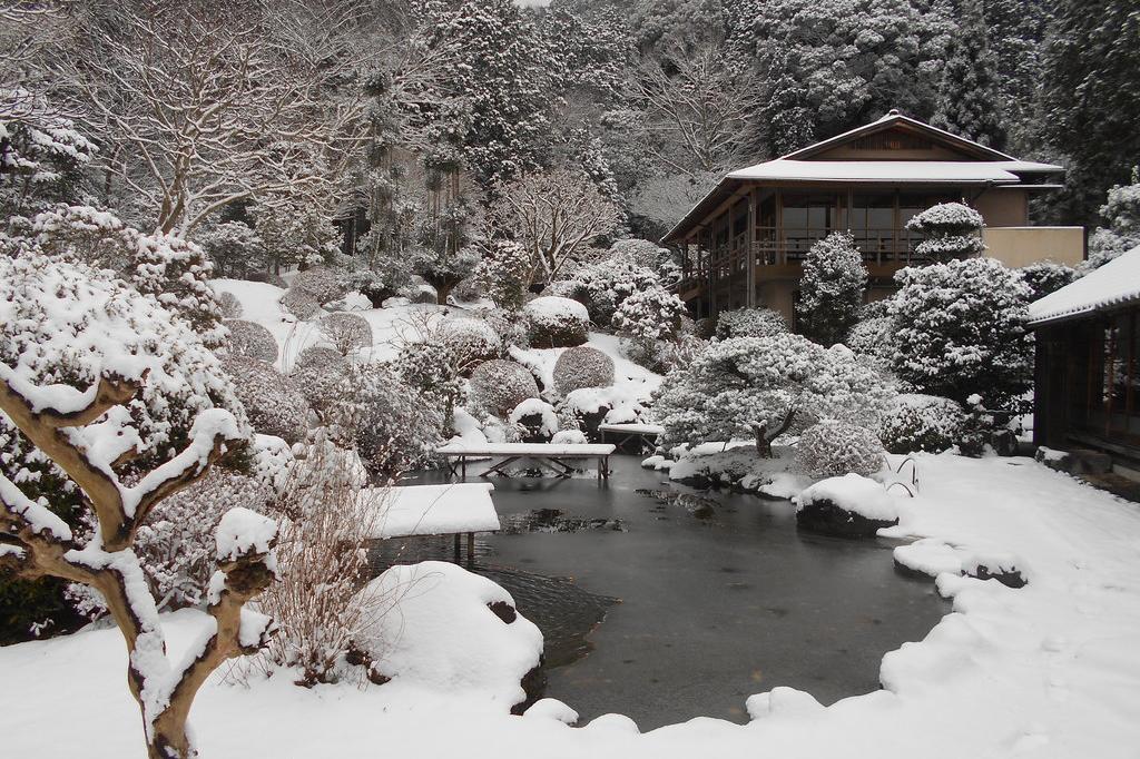 蓬莱の庭