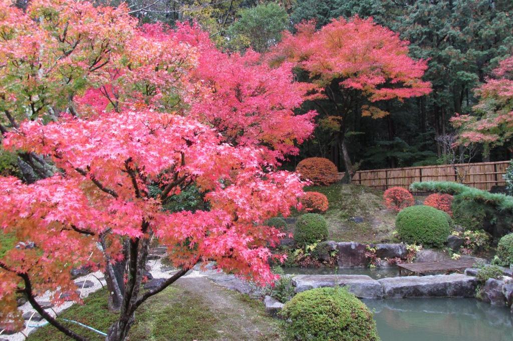 紅葉の日本庭園