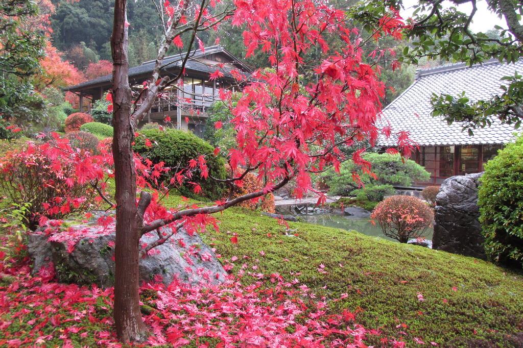 落葉の日本庭園