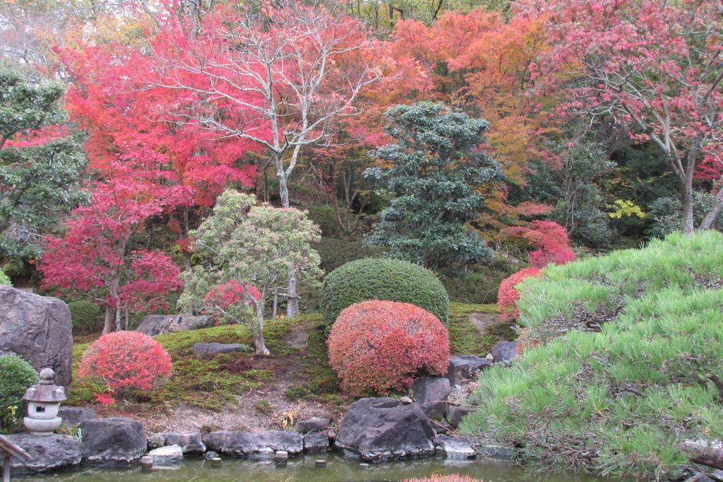 池越しの日本庭園