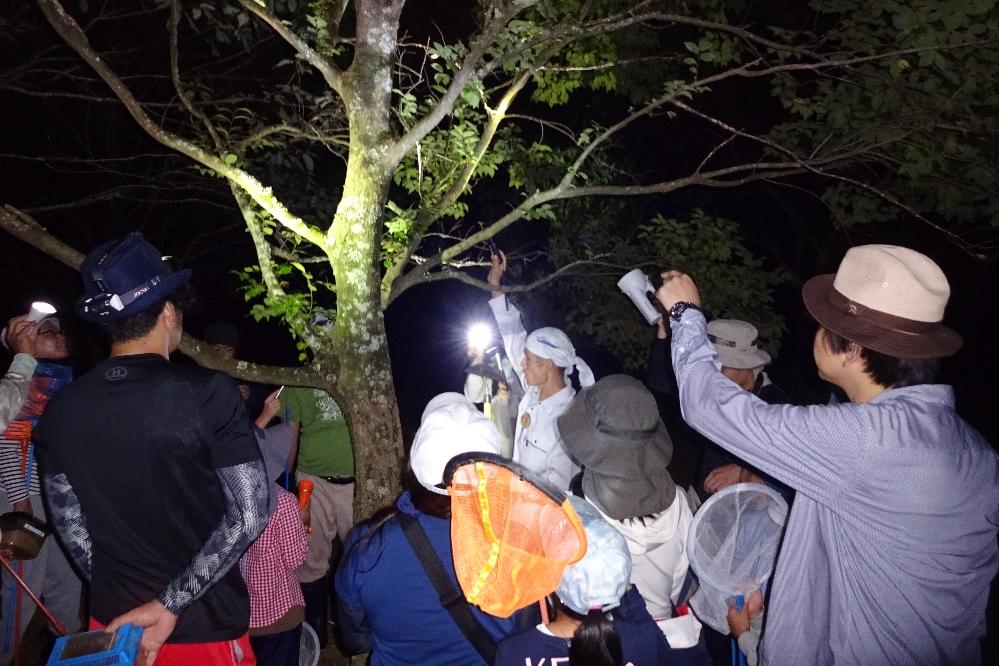 カブトムシ 流星群観察キャンプ 1泊2日 小学3年生以上親子 イベント 体験 水とみどりの森の駅 岡崎おでかけナビ 岡崎市観光協会公式サイト