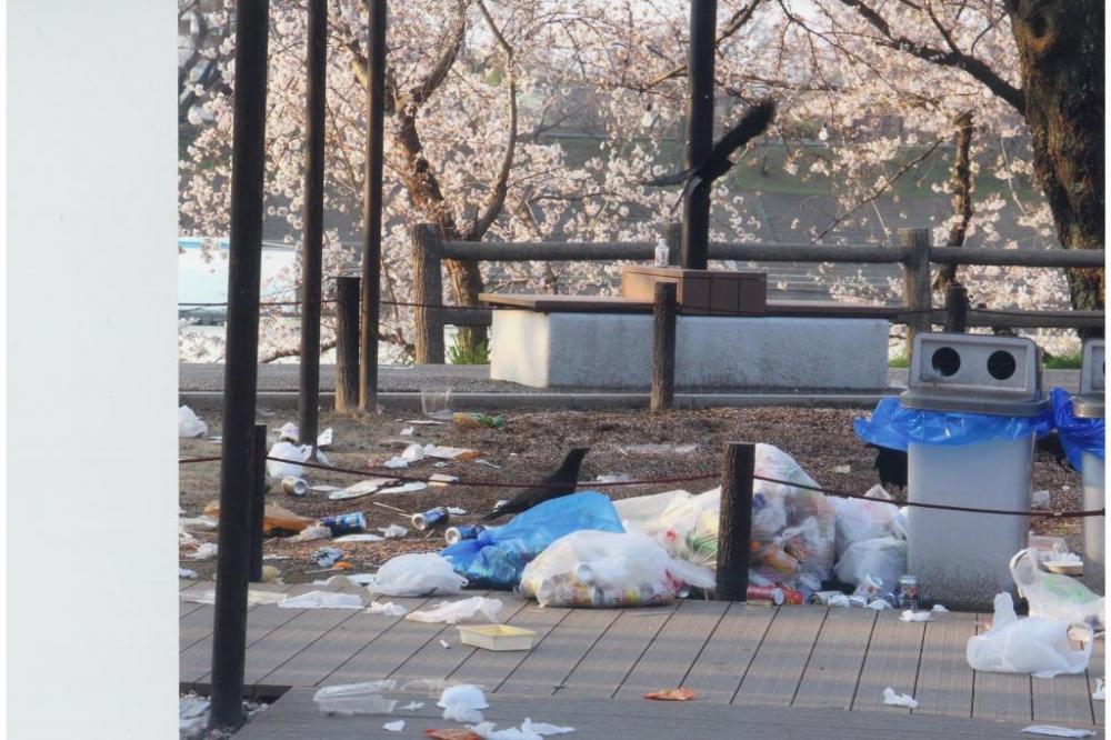 花見翌朝の風景（2018なおしたい賞）