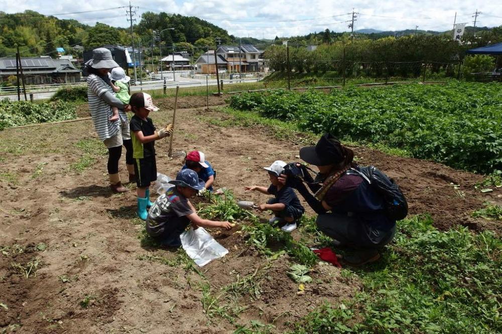 子どもが楽しんで掘っています。