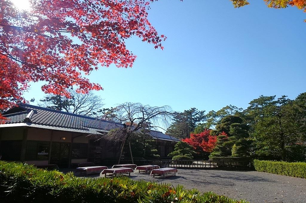 第77回　岡崎市芸術祭参加市民茶会